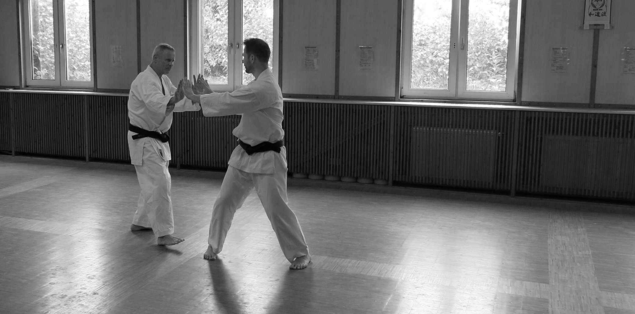 Wado-Ryu Karate Lehrer Roland und Stefan bei einer Übung